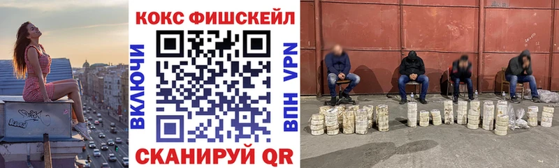 COCAIN Fish Scale  Новоульяновск 
